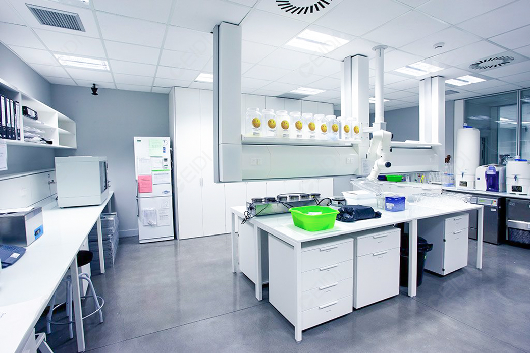 國(guó)家藥監(jiān)局關(guān)于發(fā)布《化妝品中甲基潑尼松的測(cè)定》化妝品補(bǔ)充檢驗(yàn)方法的公告（2025年第47號(hào)）